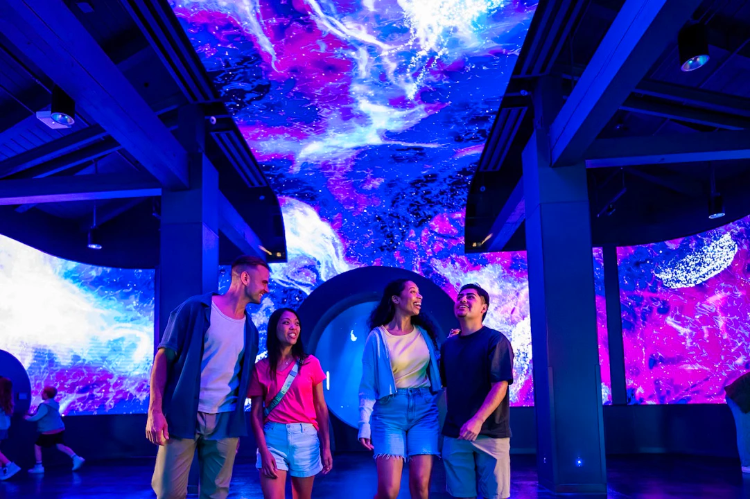 SeaWorld San Diego Ticket: Direct Entry Discount